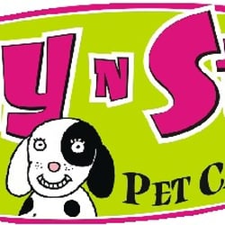 Play N Stay Pet Camp