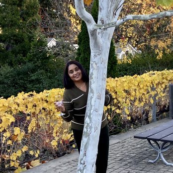 Beringer Vineyards - Wineries Near Me - St. Helena, California