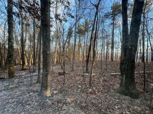 Gather Greene by null