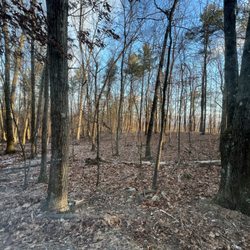 Gather Greene - View from the cabin.