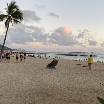 Paradise Pool - Swimming Pools Near Me - Honolulu, Hawaii