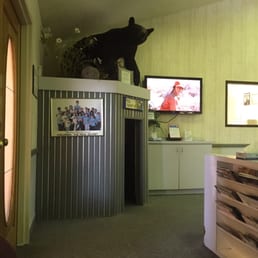 There's a bear in the waiting room :)) There's a bear in the waiting room :))