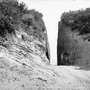 Photo of Beales's Cut