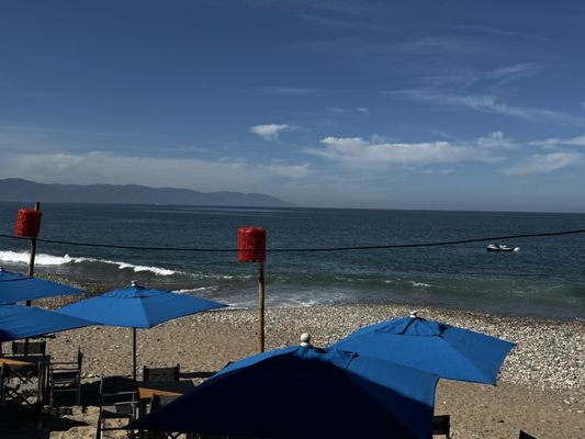 El Barracuda by null