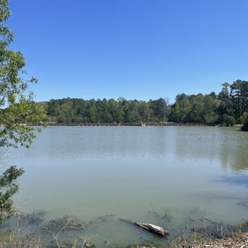 Azalea Park - Gator - Parks Near Me - Summerville, South Carolina