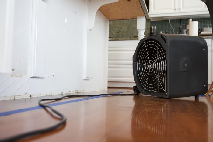 Ahold of Mold Environmental - mold inspector in Buffalo, NY