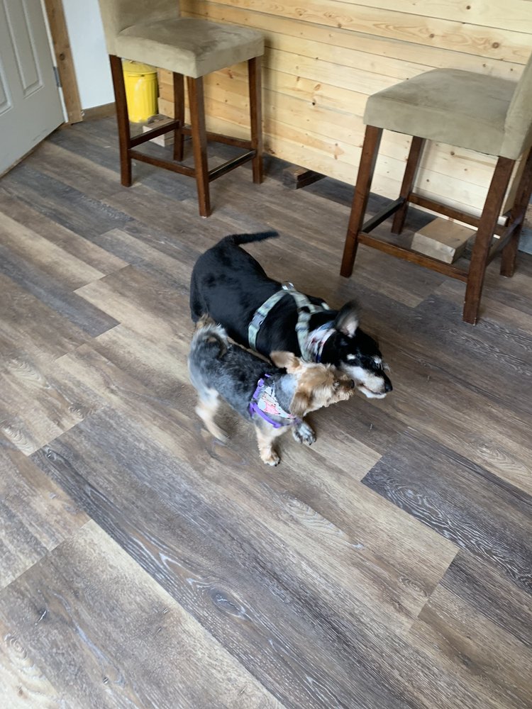 AUNTIE JAY’S DOG CHALET Updated September 2024 1251 S Togiak Ave