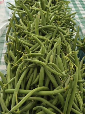 Sellwood Moreland Farmers Market by null