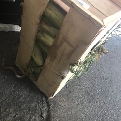 Produce Kingdom - Corn case  48/$17 buck-a-roos