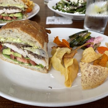 Grace's Table - Organic Greens Grilled Chicken Sandwich - New American Near Me - Napa, California Grace's Table - Organic Greens Grilled Chicken Sandwich - New American Near Me - Napa, California