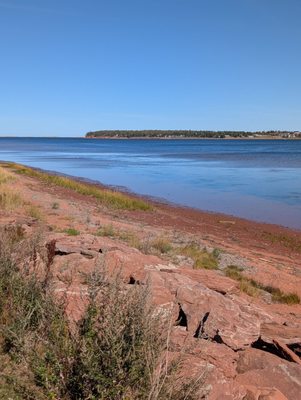 Carr's Oyster Bar by null