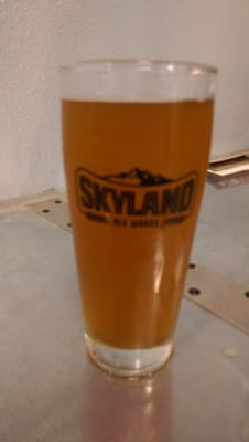 Skyland Ale Works by null