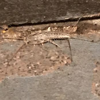 Panera Bread - Bug - Sandwiches Near Me - Kalamazoo, Michigan
