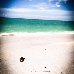 On The Beach Casey Key