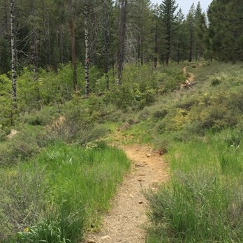 Commemorative Emigrant Trail - Hiking Near Me - Truckee, California