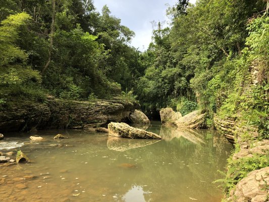 Tanama River Adventures by null