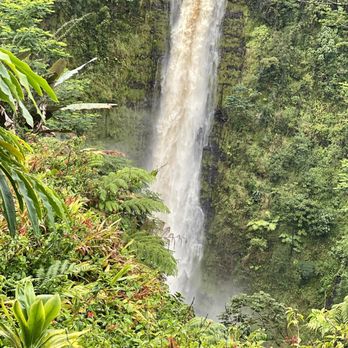 Akaka Falls State Park - Falls. - Parks Near Me - Honomu, Hawaii