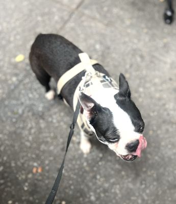 Modern Bread and Bagel by null