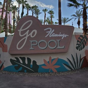Flamingo Las Vegas - The Go Pool - Hotels Near Me - Las Vegas, Nevada Flamingo Las Vegas - The Go Pool - Hotels Near Me - Las Vegas, Nevada