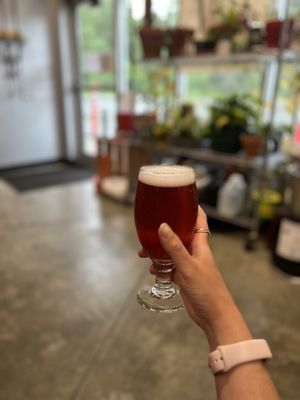 Cynosure Brewing by null