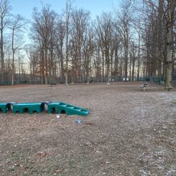 Horsham Dog Park - Not a soul here on Christmas Eve 2022. My Golden was King of the park for an afternoon.