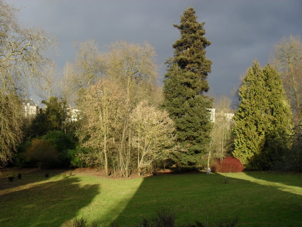 Parc de la Guinefolle