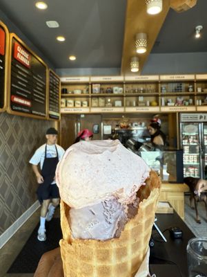 Salt & Straw by null