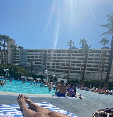 Blu Pool at Horseshoe Las Vegas by null