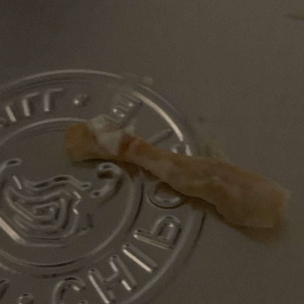 Chipotle Mexican Grill - A bone that shook my teeth glad I didn't swallow it. - Mexican Near Me - Clark, New Jersey Chipotle Mexican Grill - A bone that shook my teeth glad I didn't swallow it. - Mexican Near Me - Clark, New Jersey