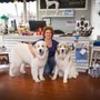 Brielle Dog Boutique