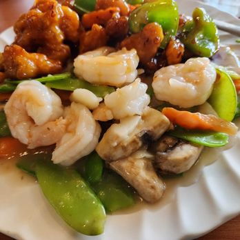 Jin 28 - Phoenix and Dragon - Chinese Near Me - Carol Stream, Illinois