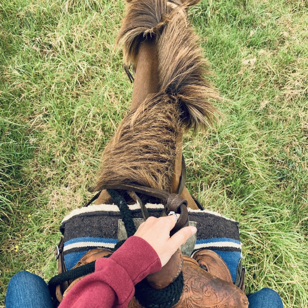 Na'alapa Stables - My new friend and new view - Horseback Riding Near Me - Kamuela, Hawaii Na'alapa Stables - My new friend and new view - Horseback Riding Near Me - Kamuela, Hawaii