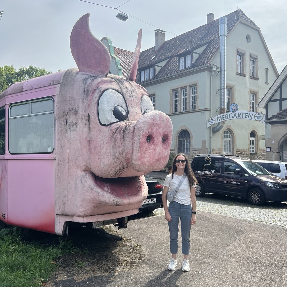 Schweinemuseum - Absolutely crazy museum - Museums Near Me - Stuttgart, BW Schweinemuseum - Absolutely crazy museum - Museums Near Me - Stuttgart, BW