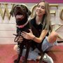 Photo of Woof Gang Bakery & Grooming South Tampa
