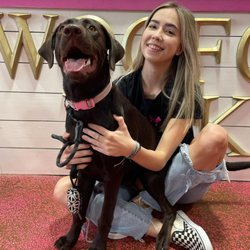Woof Gang Bakery & Grooming South Tampa