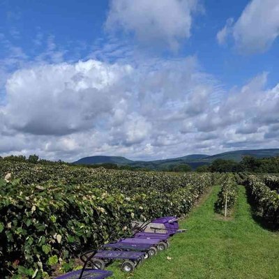 Jerome's U-Pick Fruit Farm by null