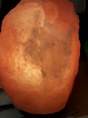 New York City College of Technology by null