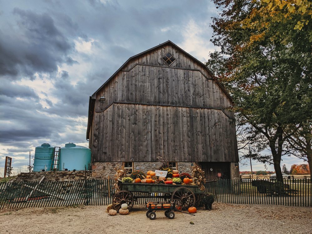 STROM’S FARM AND BAKERY Updated October 2024 21 Photos 5089