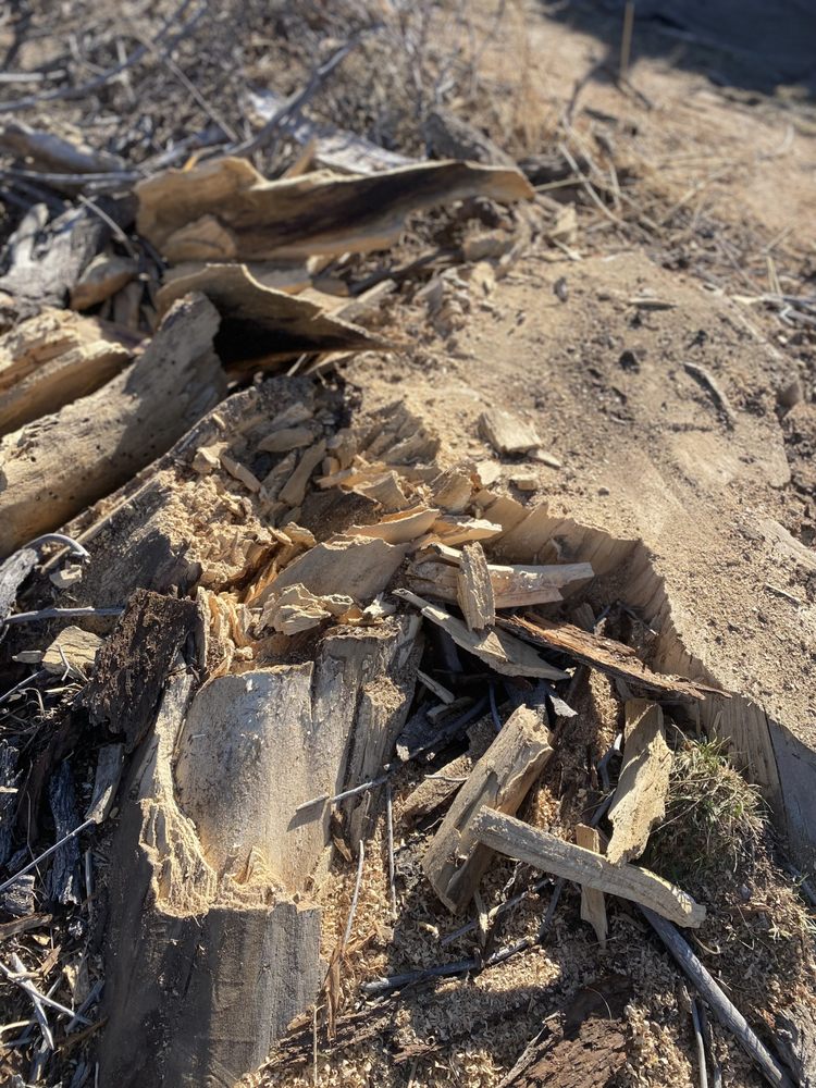 Premier Lawn And Tree Care - tree service in Cheyenne, WY