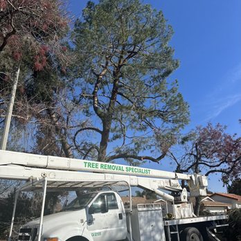 Anthony's Tree Service - New addition to our fleet, a 75 foot bucket truck for safely lifting our operators and extending for those hard to reach limbs and foliage. - Tree Services Near Me - Chino, California