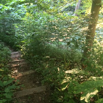 California Woods - Stairs - Hiking Near Me - Cincinnati, Ohio