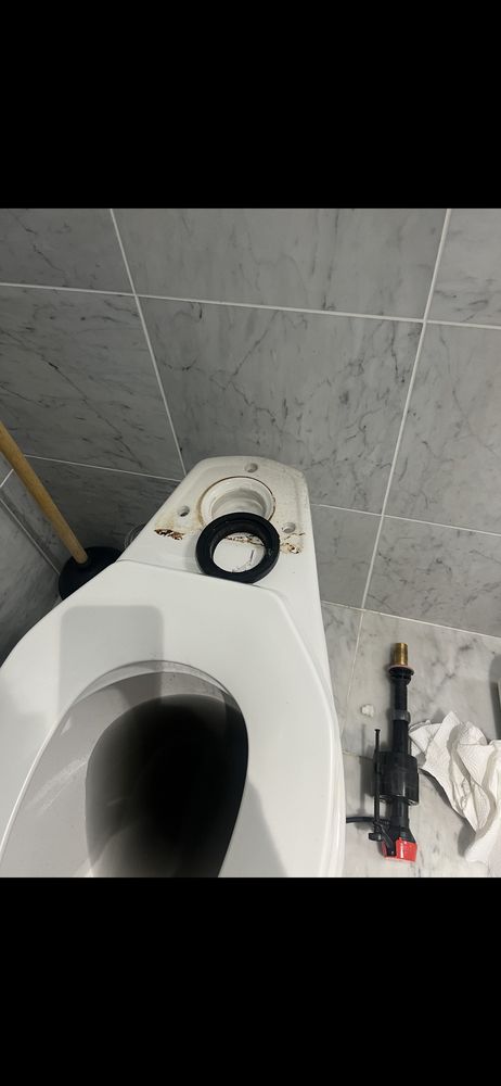 Slide of Green Apple Mechanical