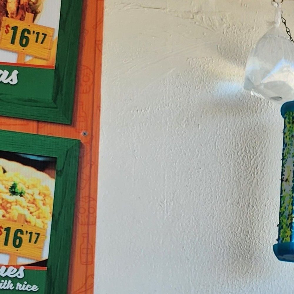 Mayhill Taqueria - Bug trap in dining area - Tacos Near Me - Denton, Texas Mayhill Taqueria - Bug trap in dining area - Tacos Near Me - Denton, Texas