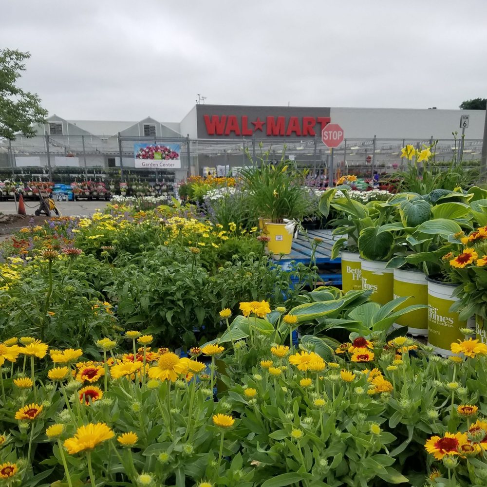 Walmart - Walmart Garden Center - Department Stores Near Me - Boonton, New Jersey Walmart - Walmart Garden Center - Department Stores Near Me - Boonton, New Jersey