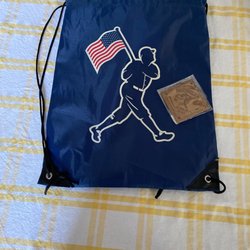 Baseballism - This is the bag that you bring home with your purchase.