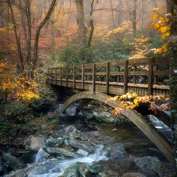 WNC Photo Tours - Tours Near Me WNC Photo Tours - Tours Near Me