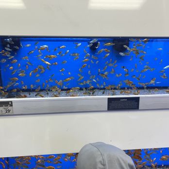 Petco - Pet Stores Near Me - Santa Fe, New Mexico