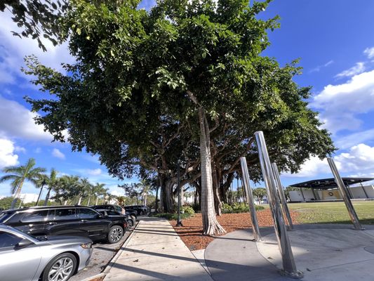 Boynton Beach City Library by null