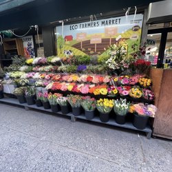 Eco Farmers Market