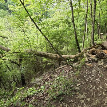 Cove Spring Park - Parks Near Me - Frankfort, Kentucky